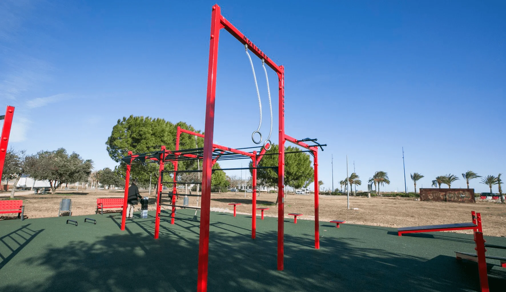 entrenador personal online