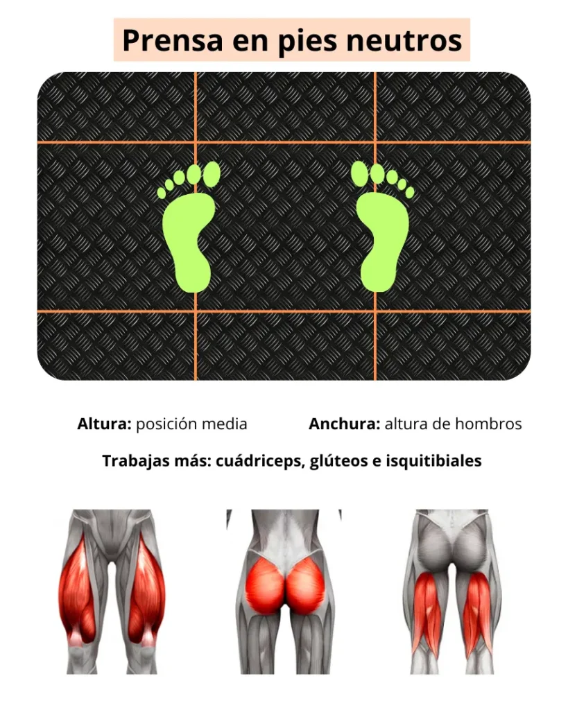 Todas las posiciones y técnica correcta para la prensa del gym