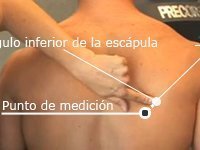 Pliegue subescapular
